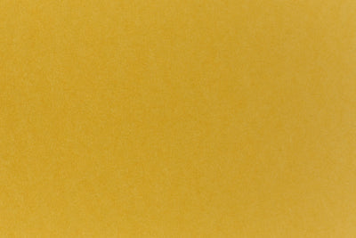 Brilliant green cardstock construction paper. 