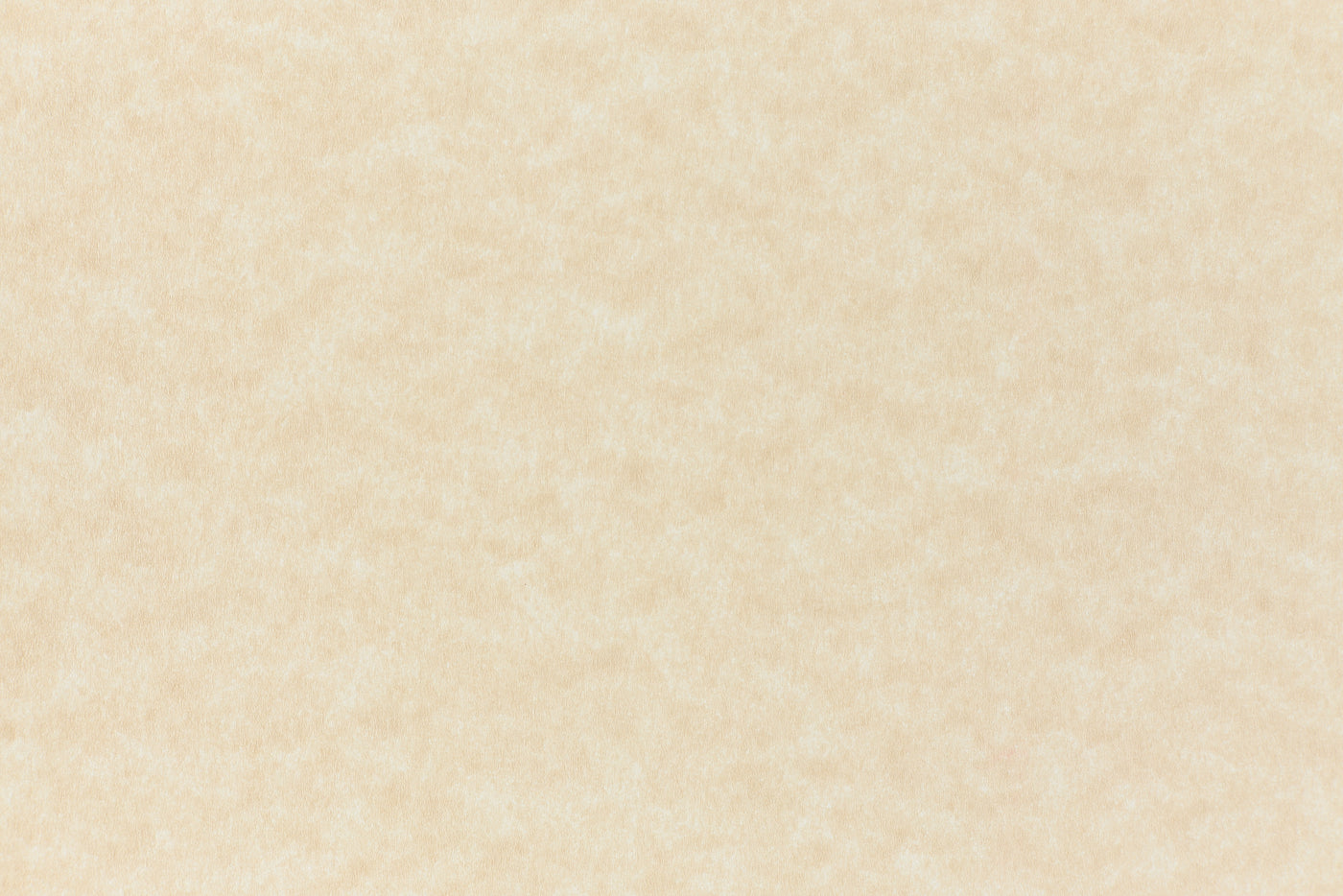 Aged Parchment Paper (Parchtone, Text Weight)