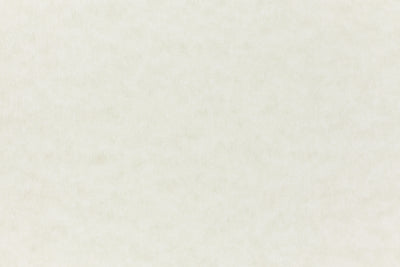 Nearly white cardstock paper sample. 